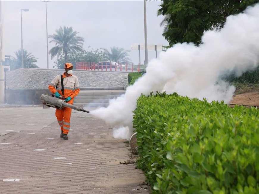 What Attracts Mosquitoes to Your Home?