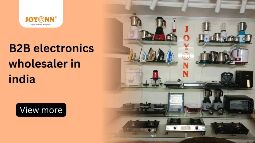 B2B Electronics Wholesaler for Retailers & Distributors in India