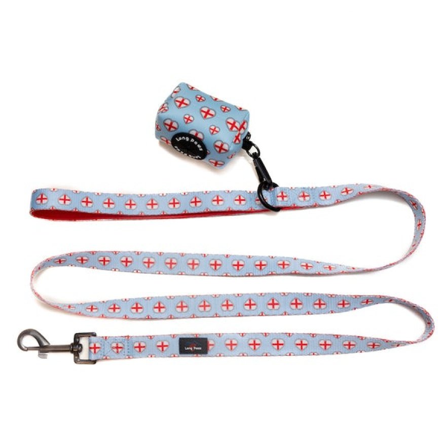 Bone Dog Tag, Dog Name Tag & Dog ID Tag: Small Accessories That Make a Big Difference