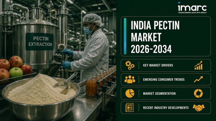India Pectin Market Size, Share Analysis, Growth and Outlook Report 2026-2034