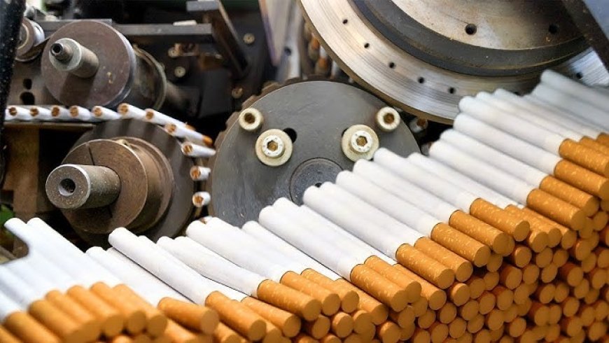 How to Setup a Cigarette Manufacturing Plant 2026: Licenses, Process & Cost Explained