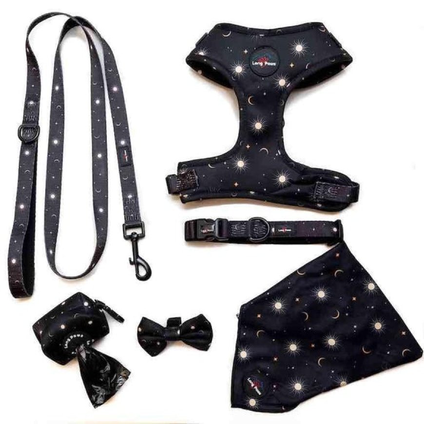 Everyday Adventures Made Easier: Essential Dog Walking Accessories UK Owners Need