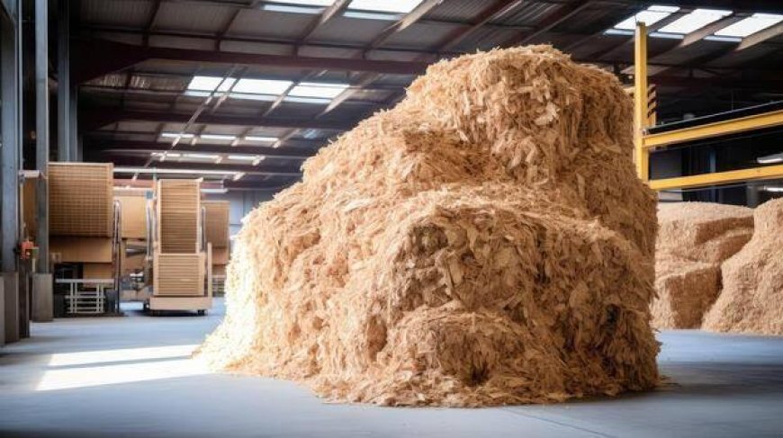 Wood Fiber Manufacturing Cost Report 2026: Plant Setup, Feasibility Study, ROI Analysis and Business Plan Consultant