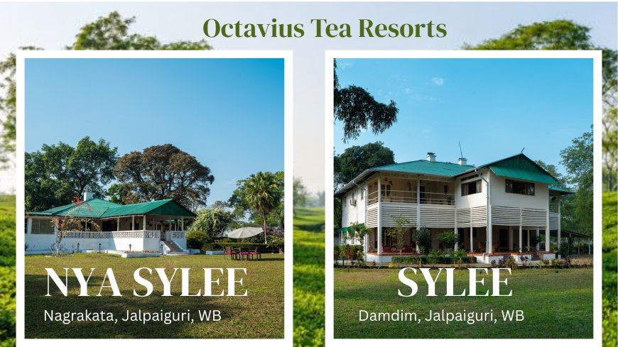 Tea Garden Resort: A Different Way to Experience West Bengal and the Dooars