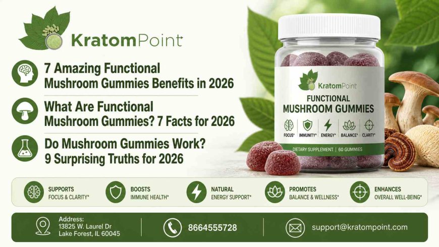 What Are Functional Mushroom Gummies? 7 Facts for 2026