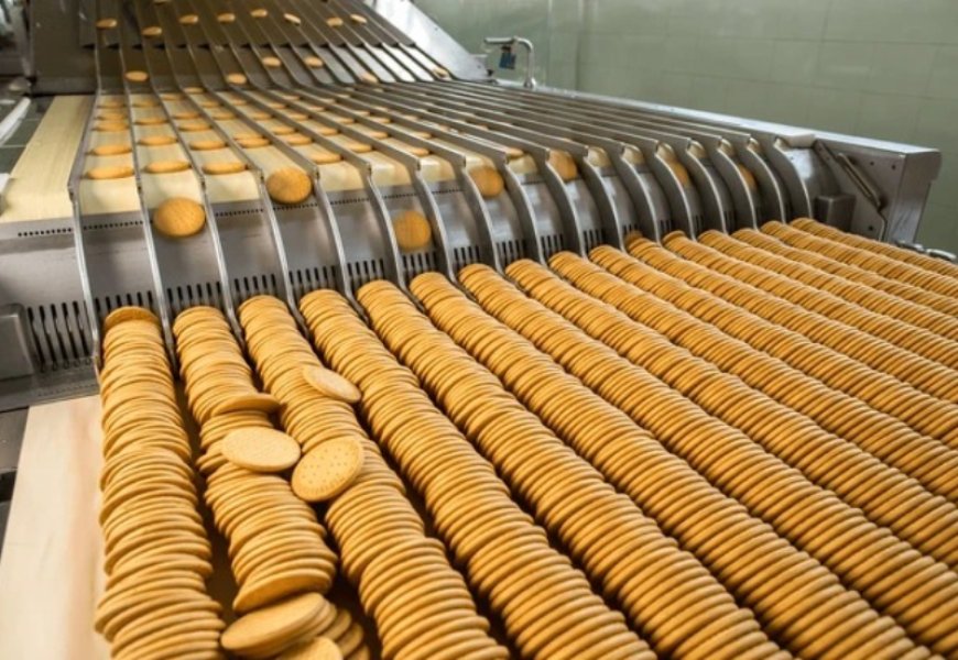 Cost of Setting Up a Biscuit Manufacturing Business in 2026: ROI Insights & Demand Analysis
