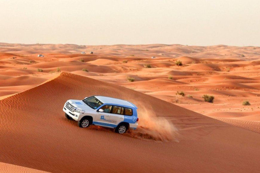 Desert Safari Dubai: What to Know Before You Book