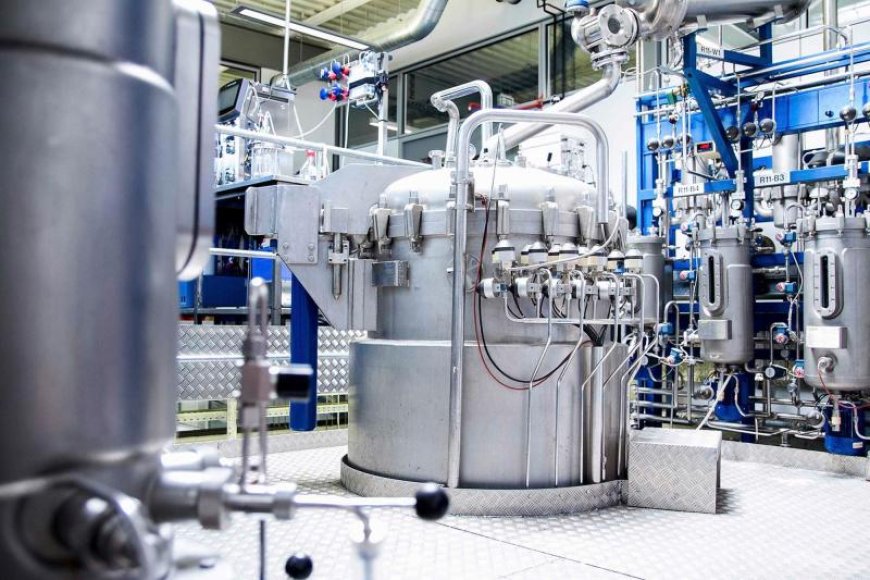 Amino Acid Production Plant Setup 2026: Machinery, Business Opportunities & Cost Breakdown