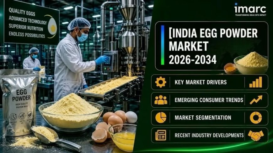 India Egg Powder Market Size, Share, Key Trends and Outlook Report 2026-2034