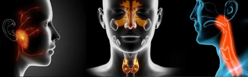 Modern Surgical Care in Dubai: Colorectal, Reflux and Thyroid Treatment