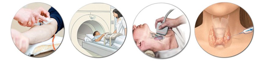 Understanding Thyroid and Parathyroid Care: When Expert Treatment Matters