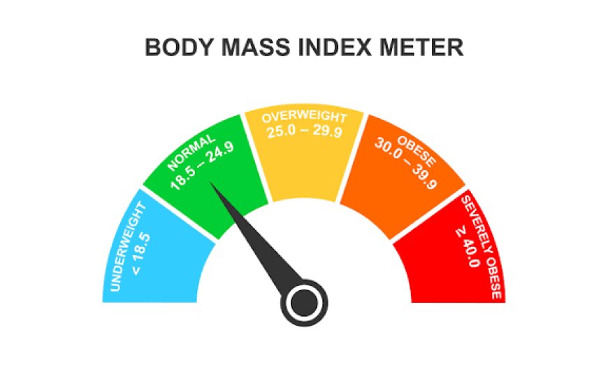 BMI Calculator: Calculate and Understand Your Body Mass Index