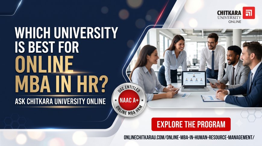 Which University Is Best for Online MBA in HR?