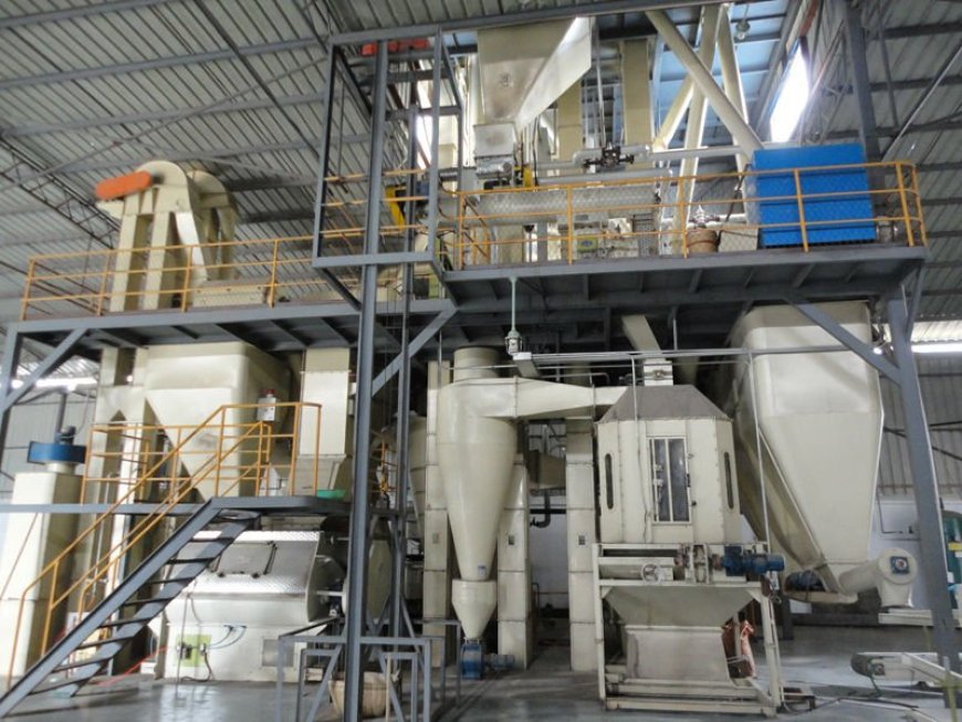 Poultry Feed Manufacturing Business Plan 2026: Site Selection, Raw Material Sourcing & ROI