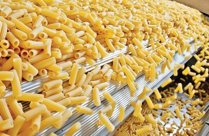 Pasta Manufacturing Plant Feasibility Study 2026: Liquidity Analysis, Profitability Analysis & Uncertainty Analysis