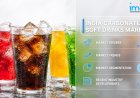 India Carbonated Soft Drinks Market, Growth, Size, Share, Trends, Outlook, Forecast 2034