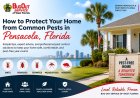 How to Protect Your Home from Common Pests in Pensacola, Florida