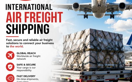 Choosing the Right Freight Transport for International Shipments