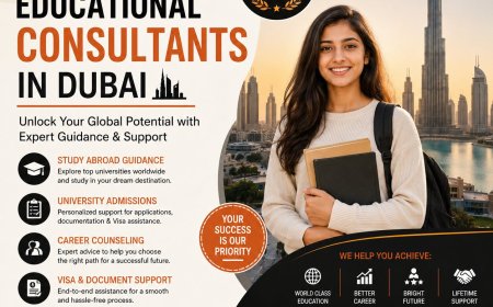 Educational Consultants in the Dubai: What Should Parents Really Look For