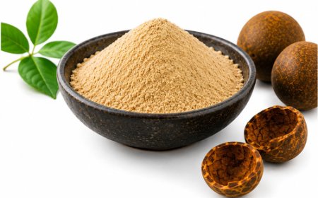 Monk Fruit Powder Manufacturing Plant Setup 2026: Machinery, Market Trends & Investment Cost
