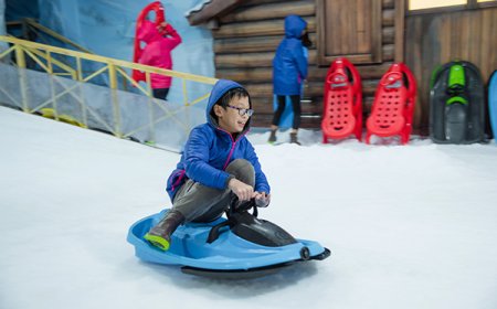 Snow City Bangalore Ticket Price: Complete Visitor Guide