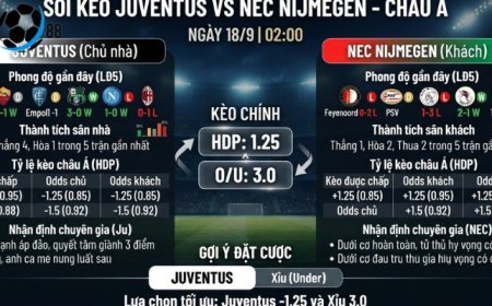 Tản Mạn Bóng Đá: Juventus vs NEC (02h00 Ngày 18/9) – Khi Giấc Mơ Chạm Trán Thực Tại