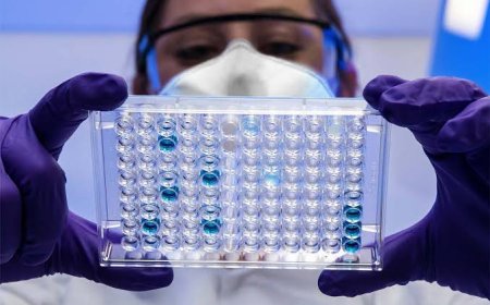 How Biochemical Assays Support Pharmaceutical Drug Discovery