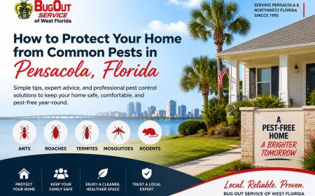 How to Protect Your Home from Common Pests in Pensacola, Florida