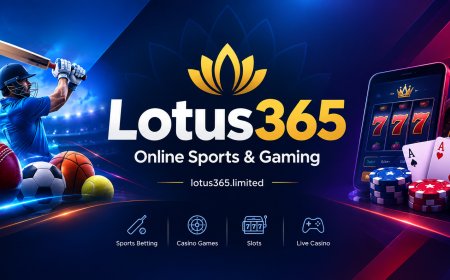 Lotus365 Online Gaming Platform: A Detailed Guide for New Users