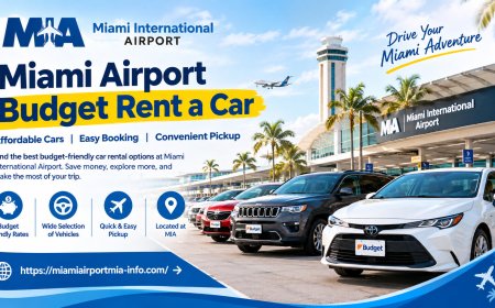 Miami Airport Budget Rent a Car: What Should Business Travelers Consider?