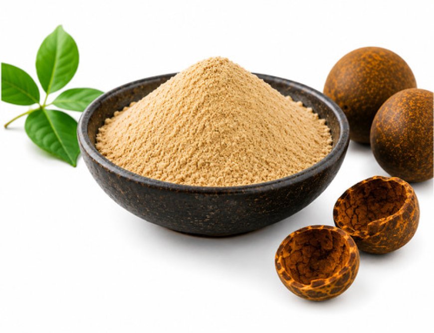 Monk Fruit Powder Manufacturing Plant Setup 2026: Machinery, Market Trends & Investment Cost