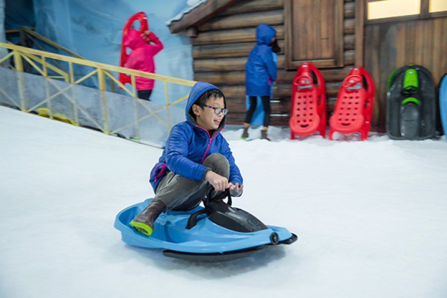 Snow City Bangalore Ticket Price: Complete Visitor Guide