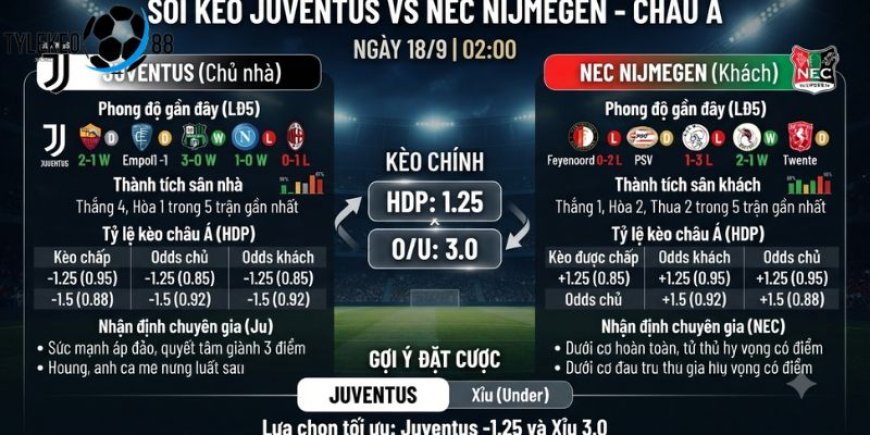 Tản Mạn Bóng Đá: Juventus vs NEC (02h00 Ngày 18/9) – Khi Giấc Mơ Chạm Trán Thực Tại