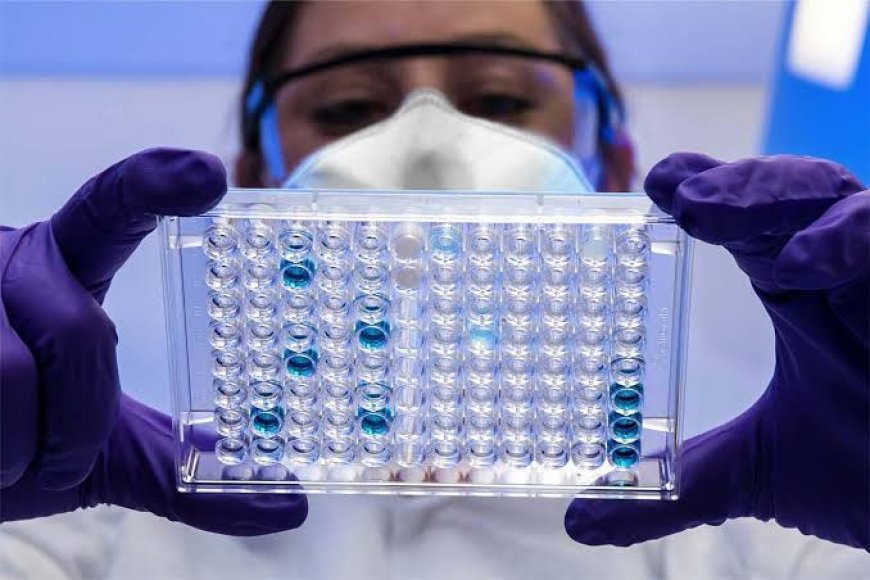 How Biochemical Assays Support Pharmaceutical Drug Discovery