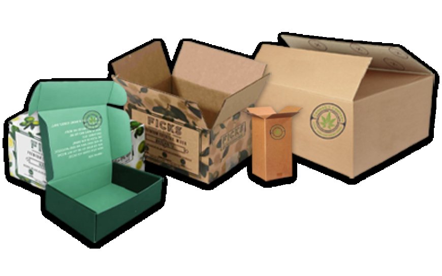 Why You Should Choose Custom Hemp Boxes for Your New Brand Products