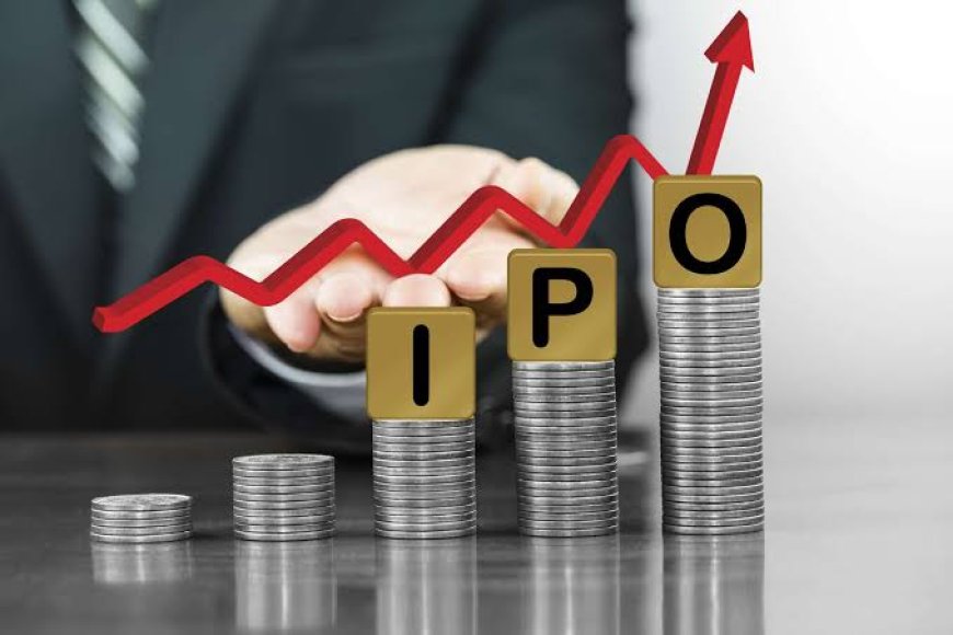 What Should You Check Before Applying for an Upcoming IPO?
