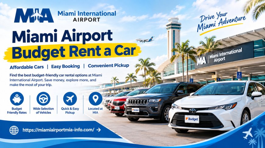 Miami Airport Budget Rent a Car: What Should Business Travelers Consider?