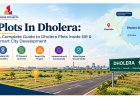 Which Plot Size Is Right? Dholera Plot Size Guide
