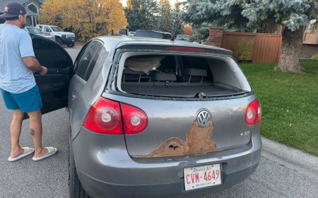 Cash for Cars Edmonton vs Scrapping vs Trade-In: A Side-by-Side Scorecard for Old Vehicles