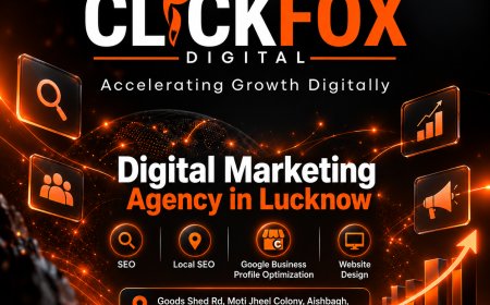 How Can a Digital Marketing Agency in Delhi NCR Help Your Business Grow? | VRG Digital