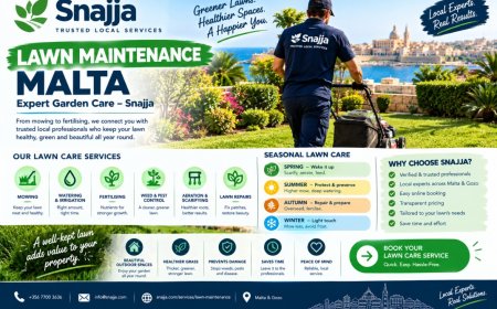 Affordable Lawn Maintenance Malta | Book on Snajja