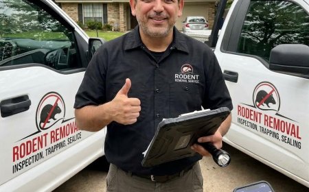 Reliable Pest Control Slough