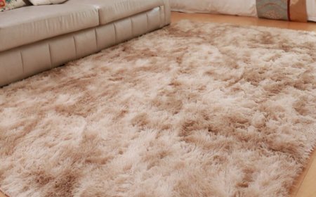 Find the Best Carpet Shops Near Me