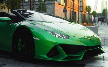 Should You Rent an Exotic Sports Car or an Exotic SUV in Sarasota FL?