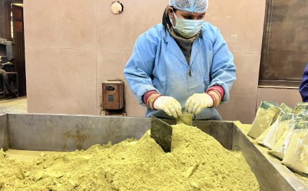 What Founders Should Ask Henna Manufacturers in India Before the EU's 2027 Deadline
