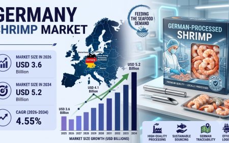 Germany Shrimp Market Size, Share, Trends and Analysis Report 2034