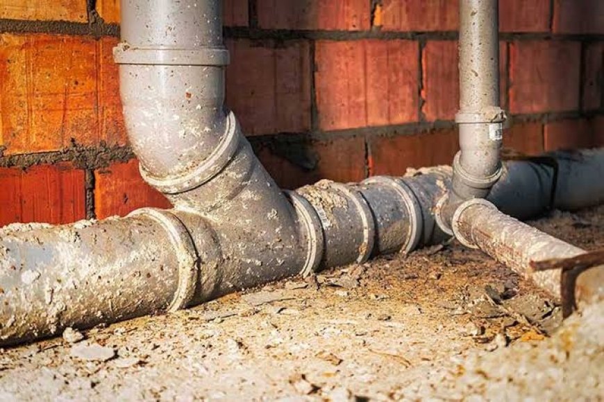 Signs Your Sewer Line Needs Repair (And What to Do About It)