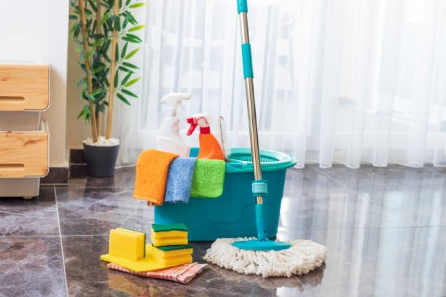 India Broom And Mop Market Size, Share, Emerging Trends and Revenue Forecast 2026-2034