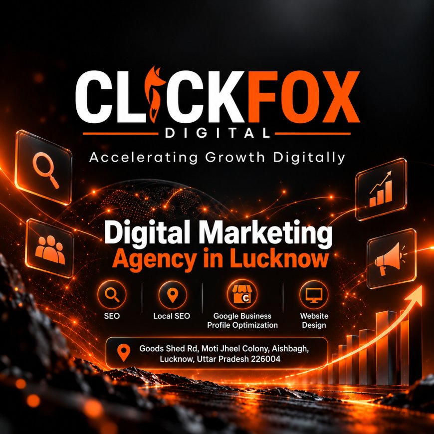 How Can a Digital Marketing Agency in Delhi NCR Help Your Business Grow? | VRG Digital
