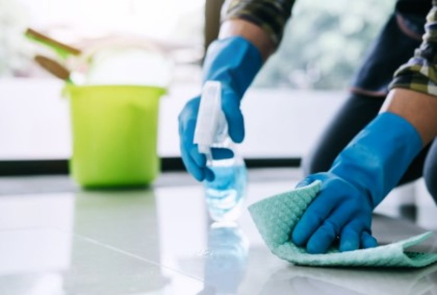 House Cleaning Service